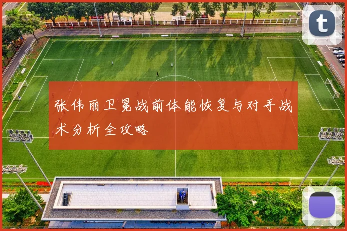 张伟丽卫冕战前体能恢复与对手战术分析全攻略